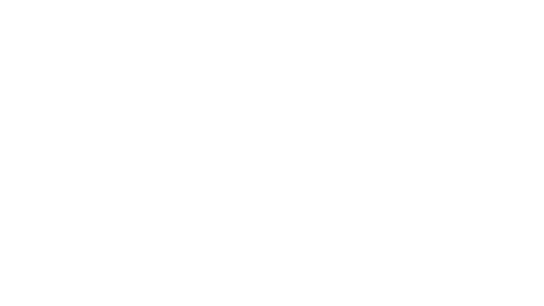 Institut frances arg